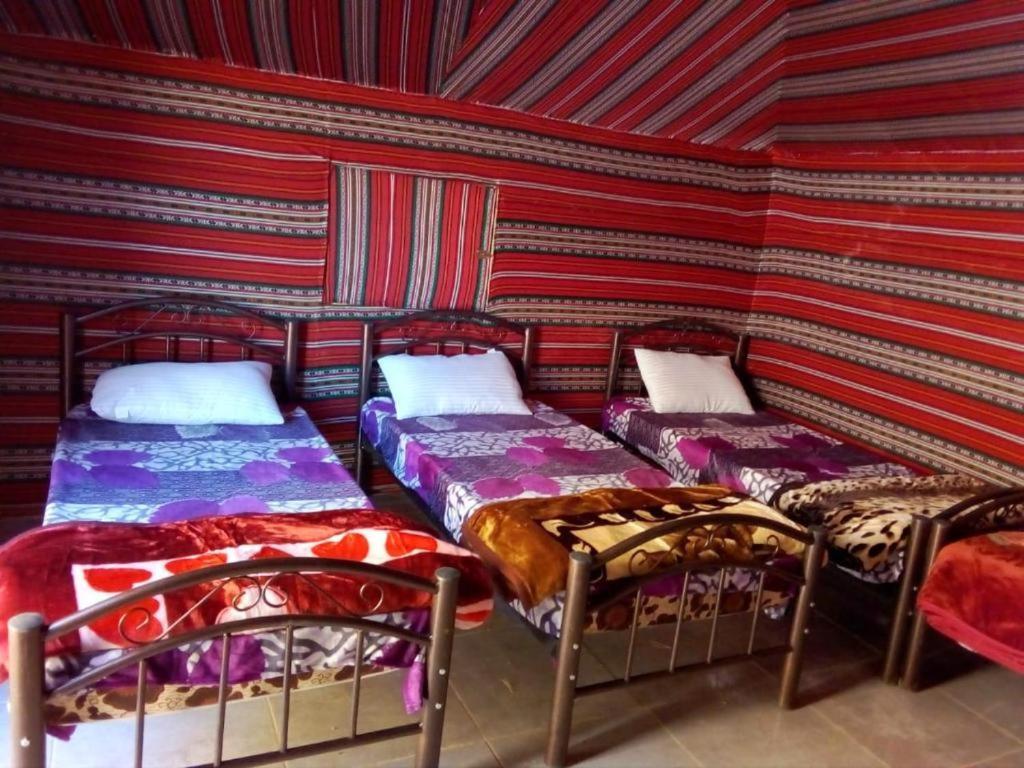 Wadi Rum Moon Camp المظهر الخارجي الصورة