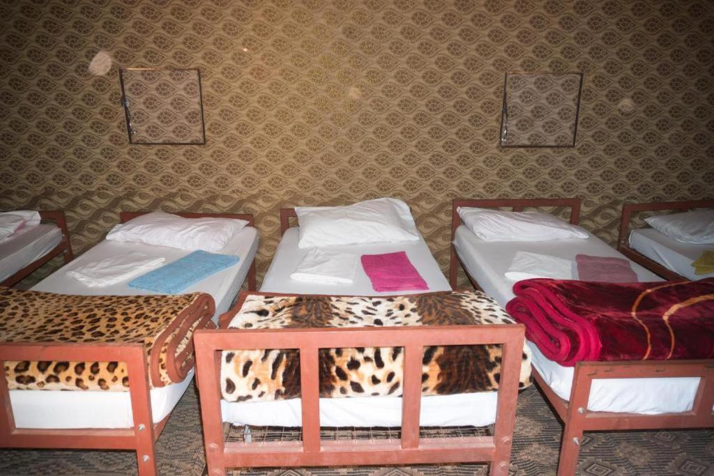 Wadi Rum Moon Camp المظهر الخارجي الصورة