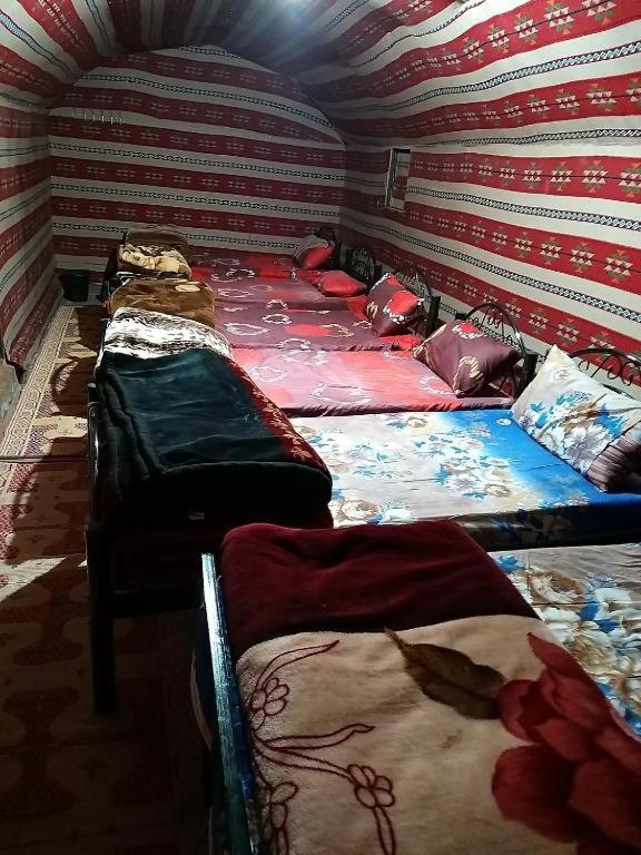 Wadi Rum Moon Camp المظهر الخارجي الصورة
