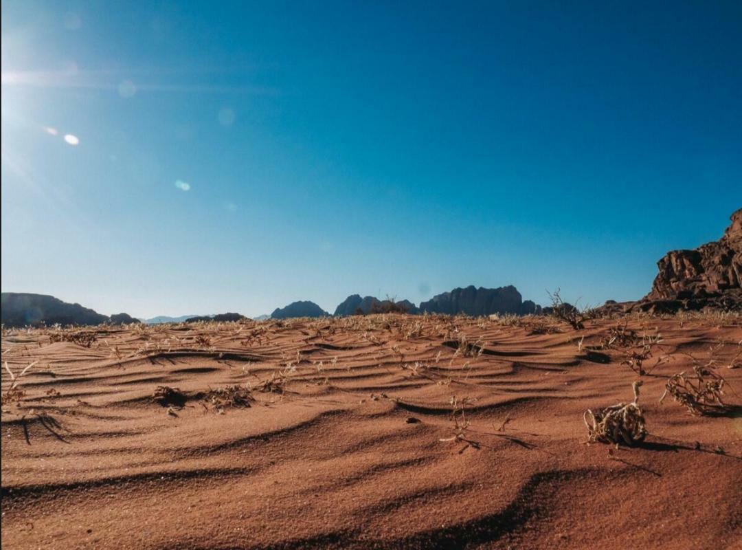 Wadi Rum Moon Camp المظهر الخارجي الصورة